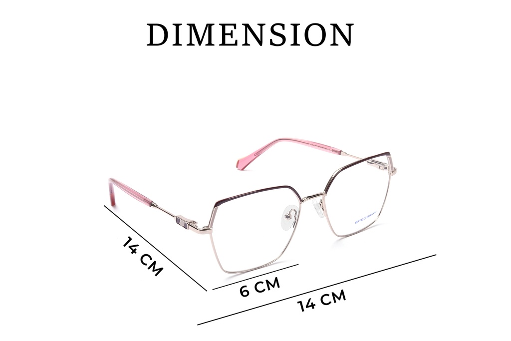 Specsray Full Rim Hexagon